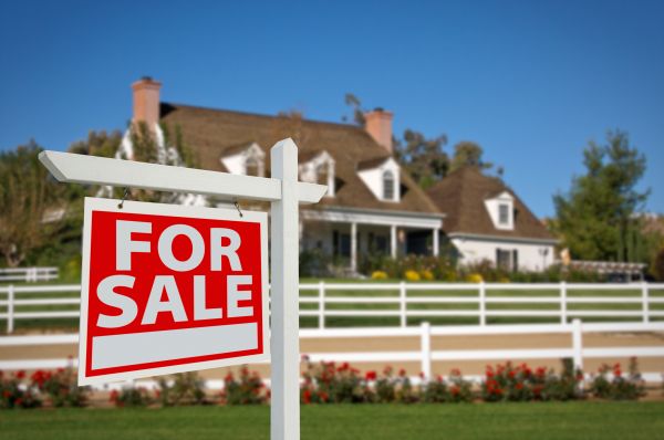 Jupiter Real Estate