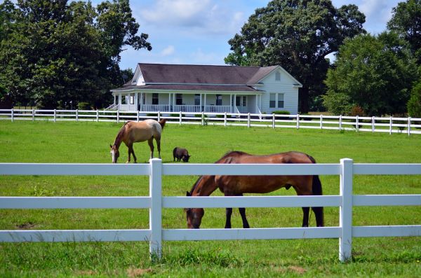 Jupiter Fence Service
